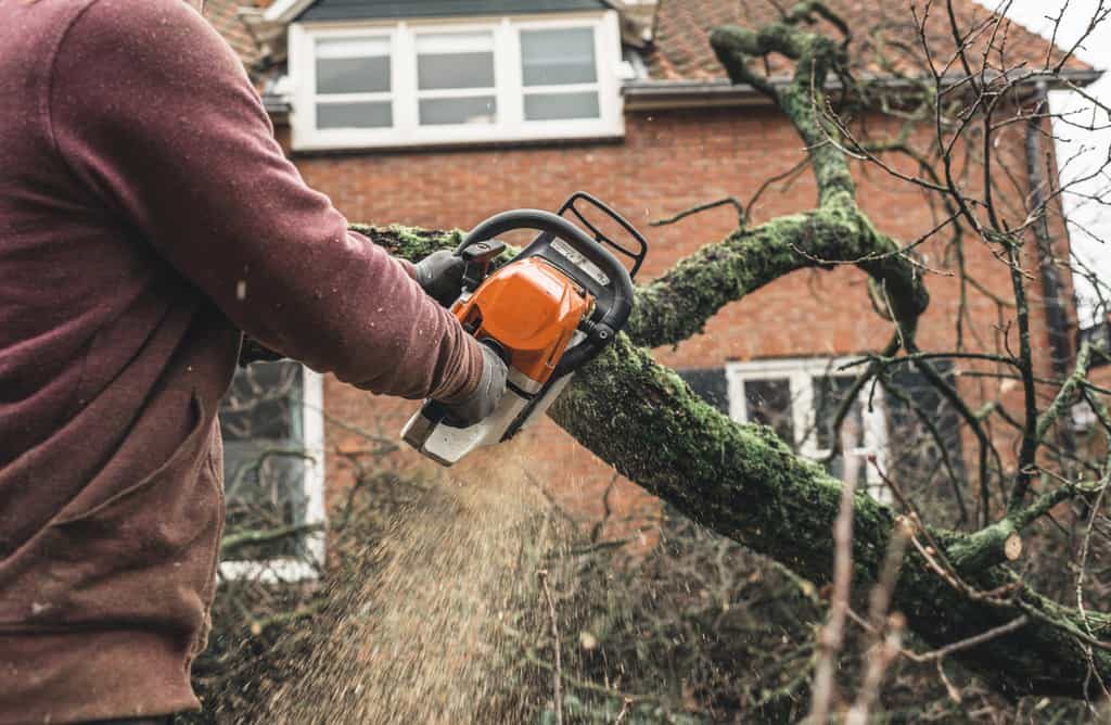 emergency tree removing using chainsaw